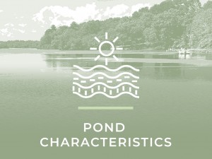 Pond Characteristics