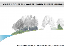 Pond Buffer Cover