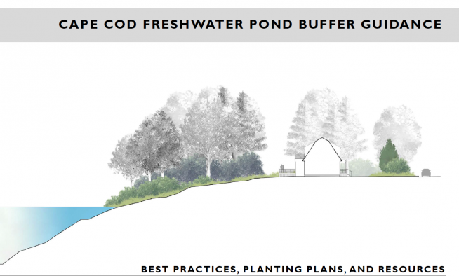 Pond Buffer Cover