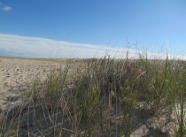 Chatham Lighthouse Beach JC