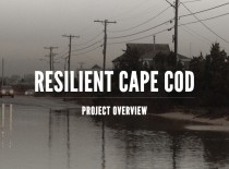 Coastal Resiliency